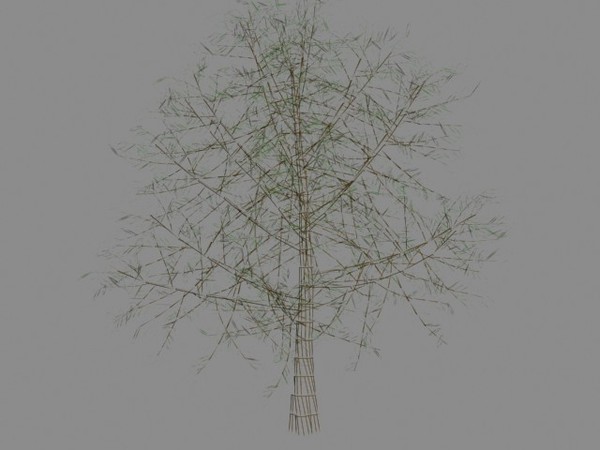 3ds max elm tree - elm tree.max by Animation Anchor Line